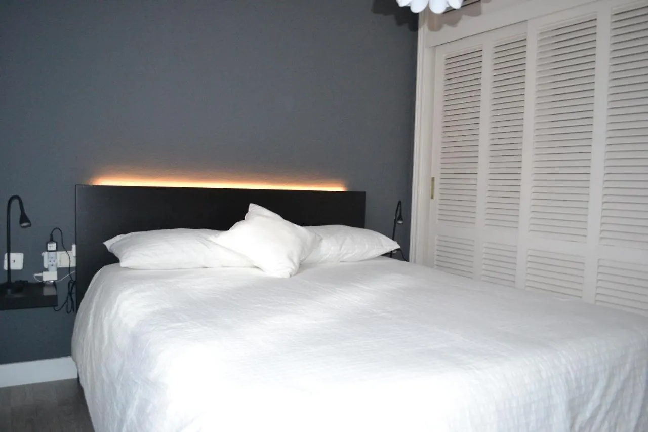 Agradable y confortable casa en el centro La Laguna